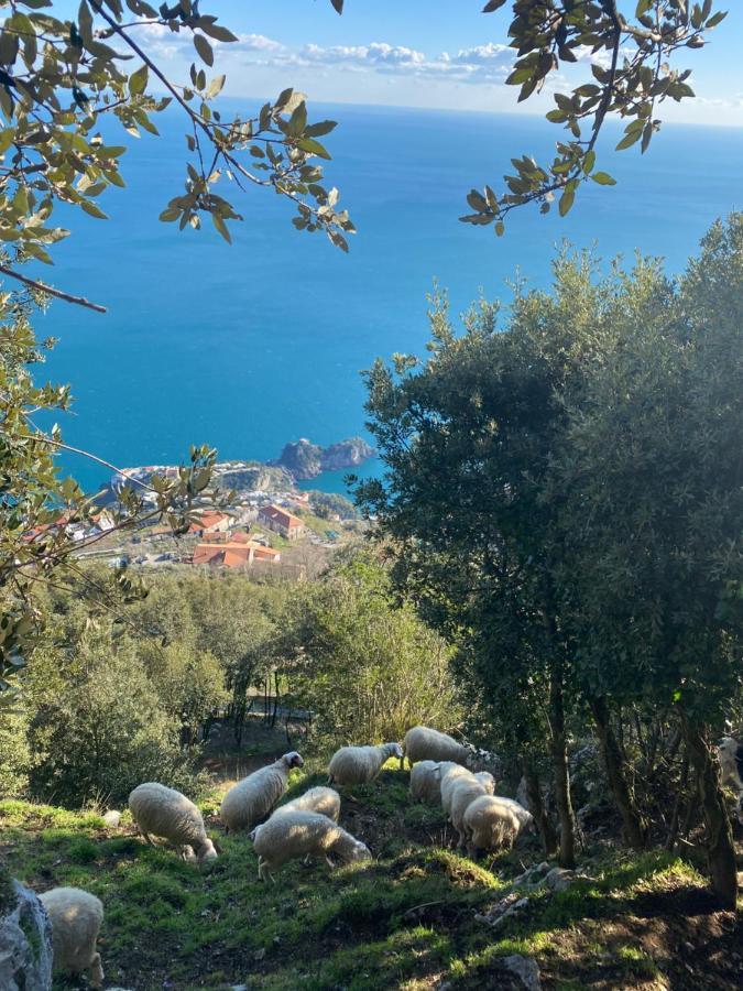 B&B Miramare Agerola Extérieur photo