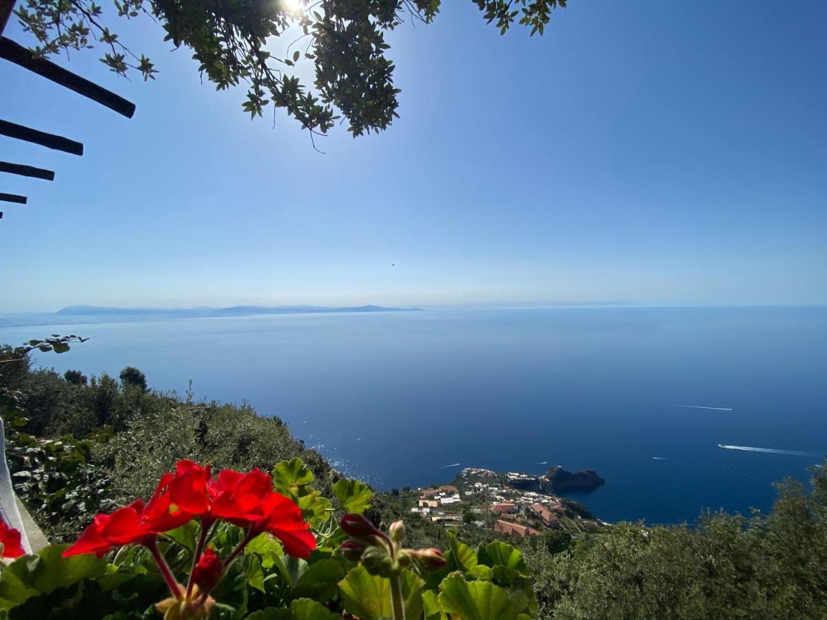 B&B Miramare Agerola Extérieur photo